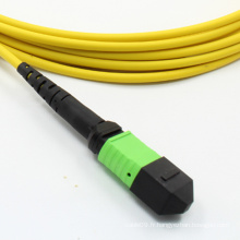 Cordon de raccordement fibre optique MPO / APC to MPO / APC